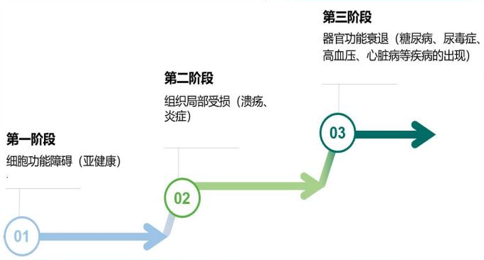 6a193af29675e.png